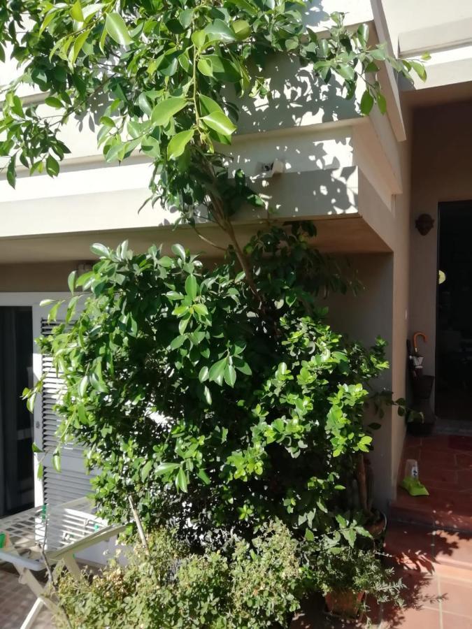 B&B Filomena Santa Giusta Εξωτερικό φωτογραφία