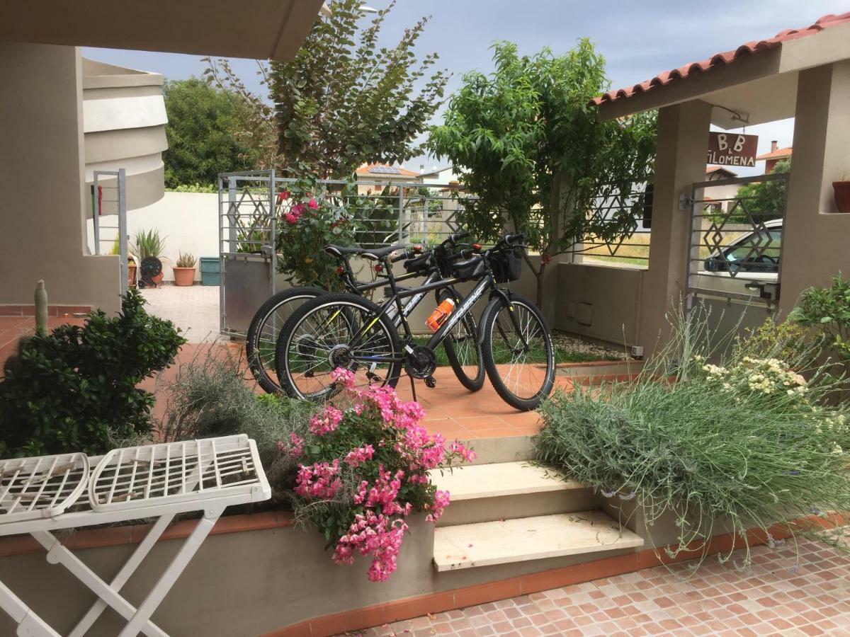 B&B Filomena Santa Giusta Εξωτερικό φωτογραφία